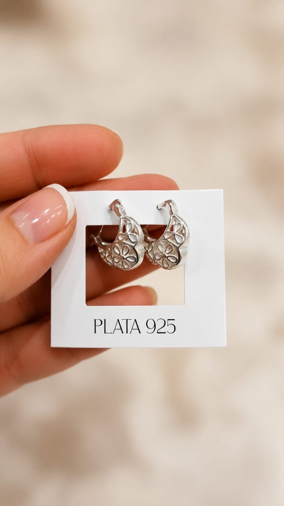 Aros Plata 925