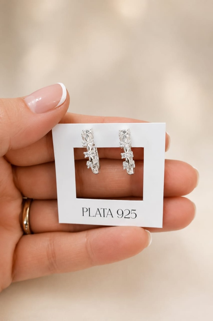 Aros Plata 925 