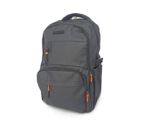 Mochila Portanotebook 20 Pierre Cardin