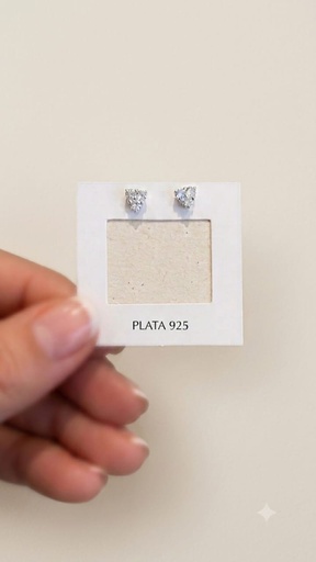 [A1060] Aros Plata 925